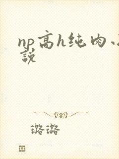 np高h纯肉小说
