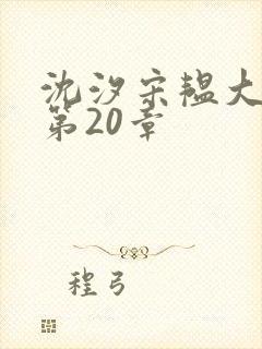 沈汐宋韫大结局第20章封面