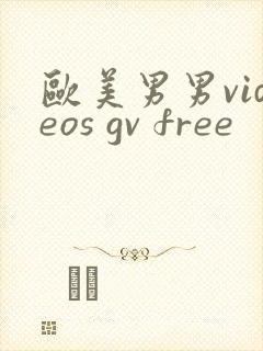 欧美男男videos gv free