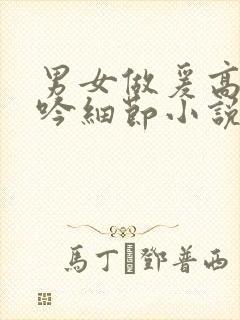 男女做爰高潮呻吟细节小说