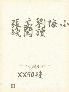 张亮刘梅小说在线阅读