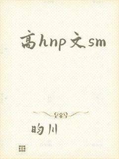 高hnp文sm