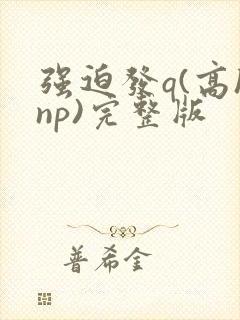 强迫发q(高hnp)完整版