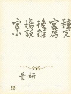官场后宫种马文小说推荐完结封面