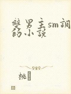 双男主sm调教的小说