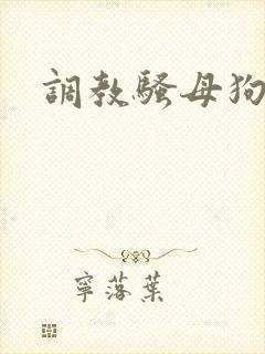 调教骚母狗h封面
