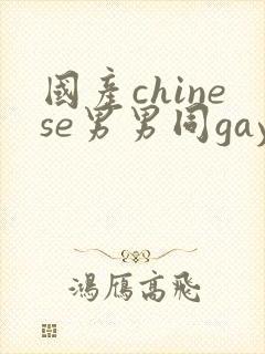 国产chinese男男同gaygay网站