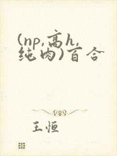 (np,高h,纯肉)百合