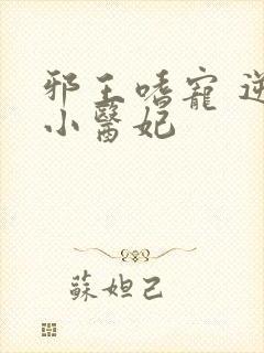 邪王嗜宠 逆天小医妃