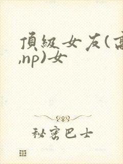 顶级女友(高h,np)女