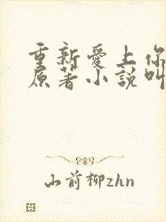 重新爱上你泰剧原著小说叫什么名字