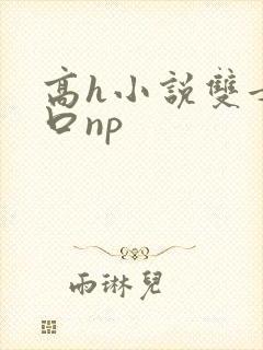高h小说双女重口np