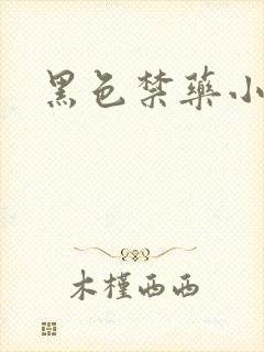 黑色禁药小说封面