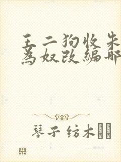 王二狗收朱竹清为奴改编哪部小说封面