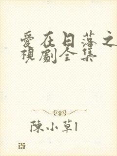 爱在日落之前电视剧全集