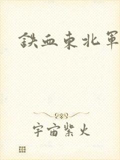 铁血东北军
