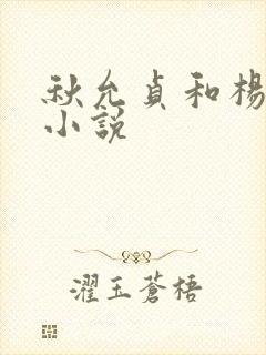 秋允贞和杨浩的小说封面