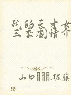 我的天才女友第三季剧情介绍封面