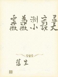 云为洲宋寻鹿向薇薇小说大结局