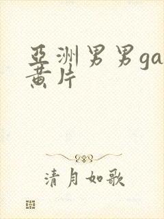 亚洲男男gay黄片