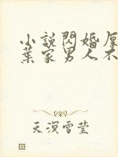 小说闪婚厚爱:叶家男人不离婚免费看封面