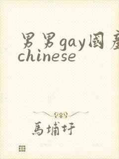 男男gay国产chinese