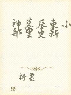神墓辰东小说在那里更新封面