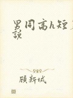 男同高h短篇小说