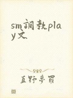 sm调教play文