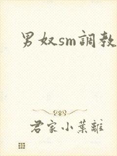 男奴sm调教文
