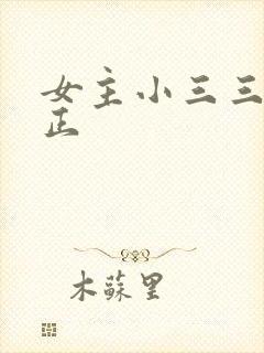 女主小三三观不正