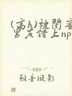 (高h)被闺蜜男友错上np全文