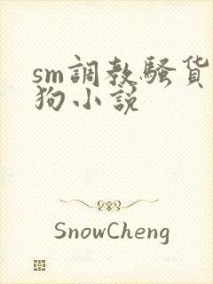 sm调教骚货母狗小说