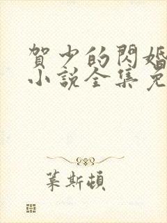 贺少的闪婚暖妻小说全集免费阅读