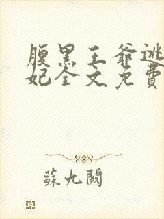 腹黑王爷逃跑王妃全文免费阅读