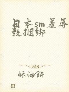 日本sm羞辱调教捆绑