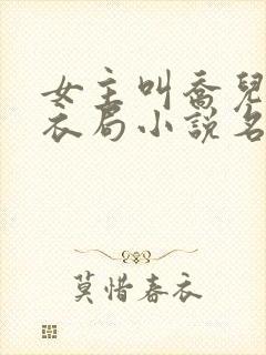 女主叫乔儿的浣衣局小说名字封面