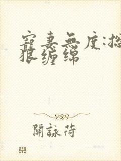 宠妻无度:总裁狠缠绵封面