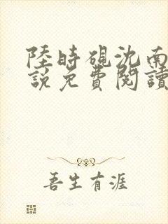 陆时砚沈南初小说免费阅读封面