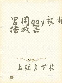 男同gay视频播放器