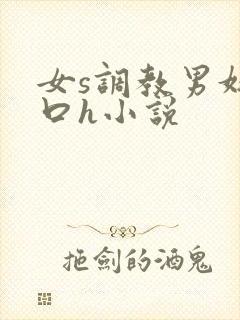 女s调教男奴重口h小说封面