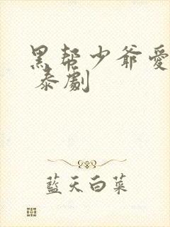 黑帮少爷爱上我 泰剧
