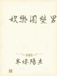 娱乐圈双男主