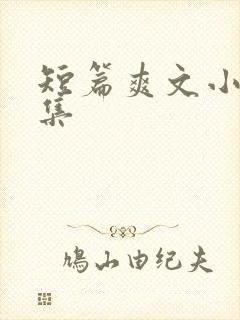 短篇爽文小说合集