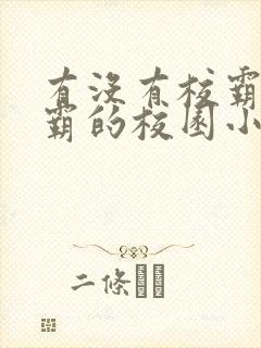 有没有校霸与学霸的校园小说
