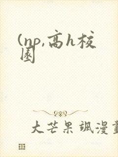 (np,高h校园