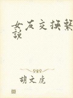 女友交换系列小说