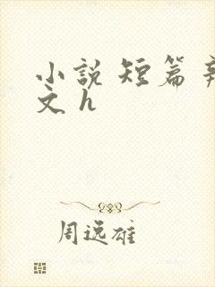 小说 短篇 辣文 h