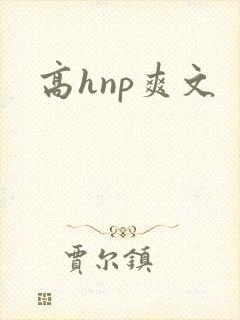 高hnp爽文封面