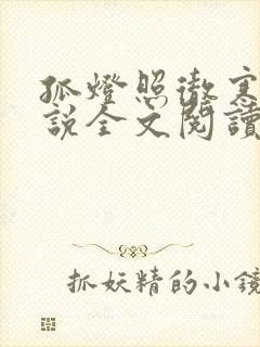 孤灯照彻寒夜小说全文阅读
